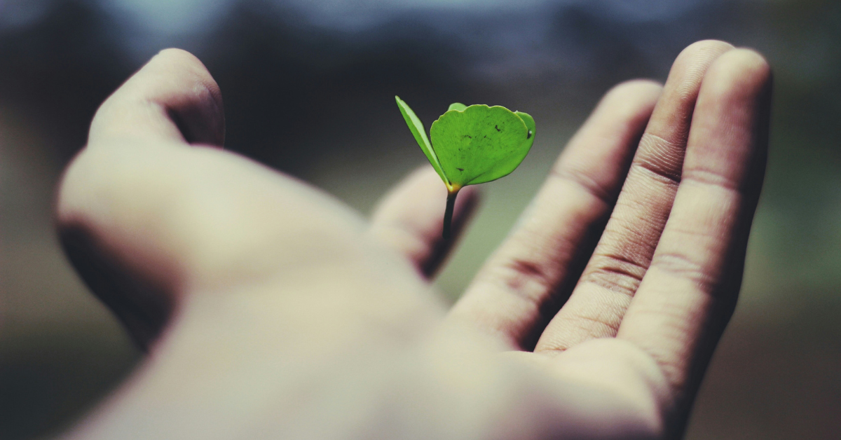 What Tragedy Teaches Us About Living Fully